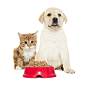Pets